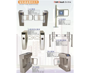 桓台智能通道摆闸系列